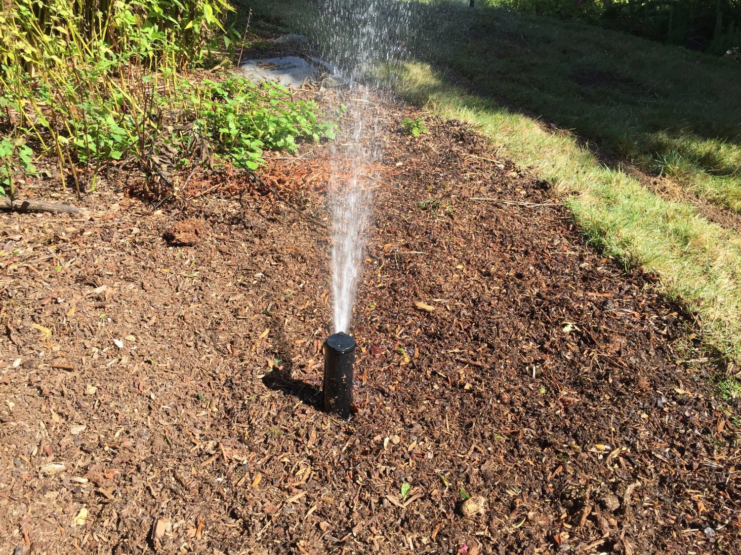 Sprinkler Gallery | Portland Sprinklers | Portland, Oregon