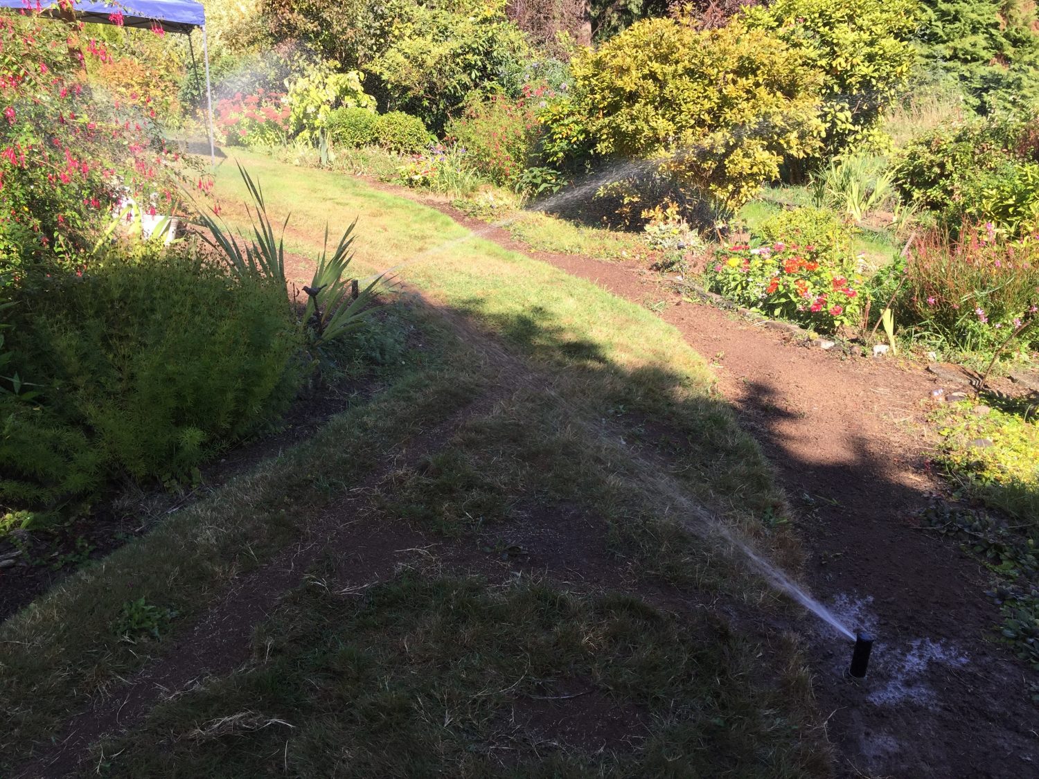 PDFRain Bird | A Global Irrigation Company