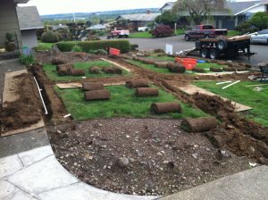 During the sprinkler installation process. Front yard #1.